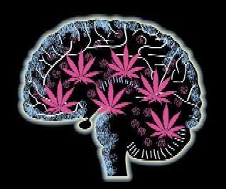 More on the Detrimental Effect of Marijuana on the Teenage Brain