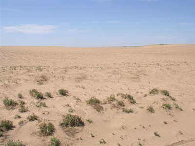 Marijuana Drying Up Small Tributaries