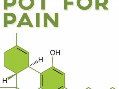 Ray Lozano - Marijuana Pain Relief
