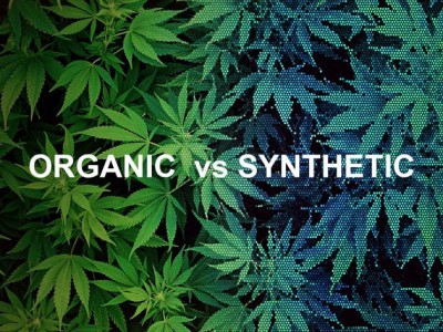 Organic_vs._synthetic_CBD